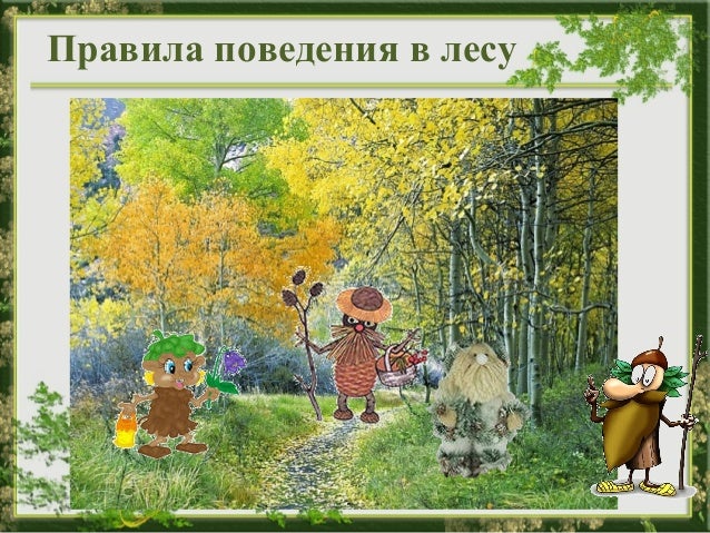 Раскраска поведение в лес Раскраска поведение в лес